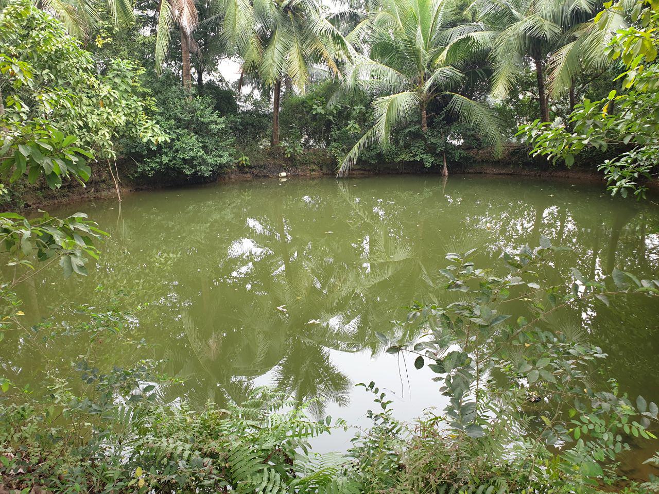 Huy động tài trợ trùng tu, tôn tạo Giếng làng, Nghè làng Hoạch Thôn