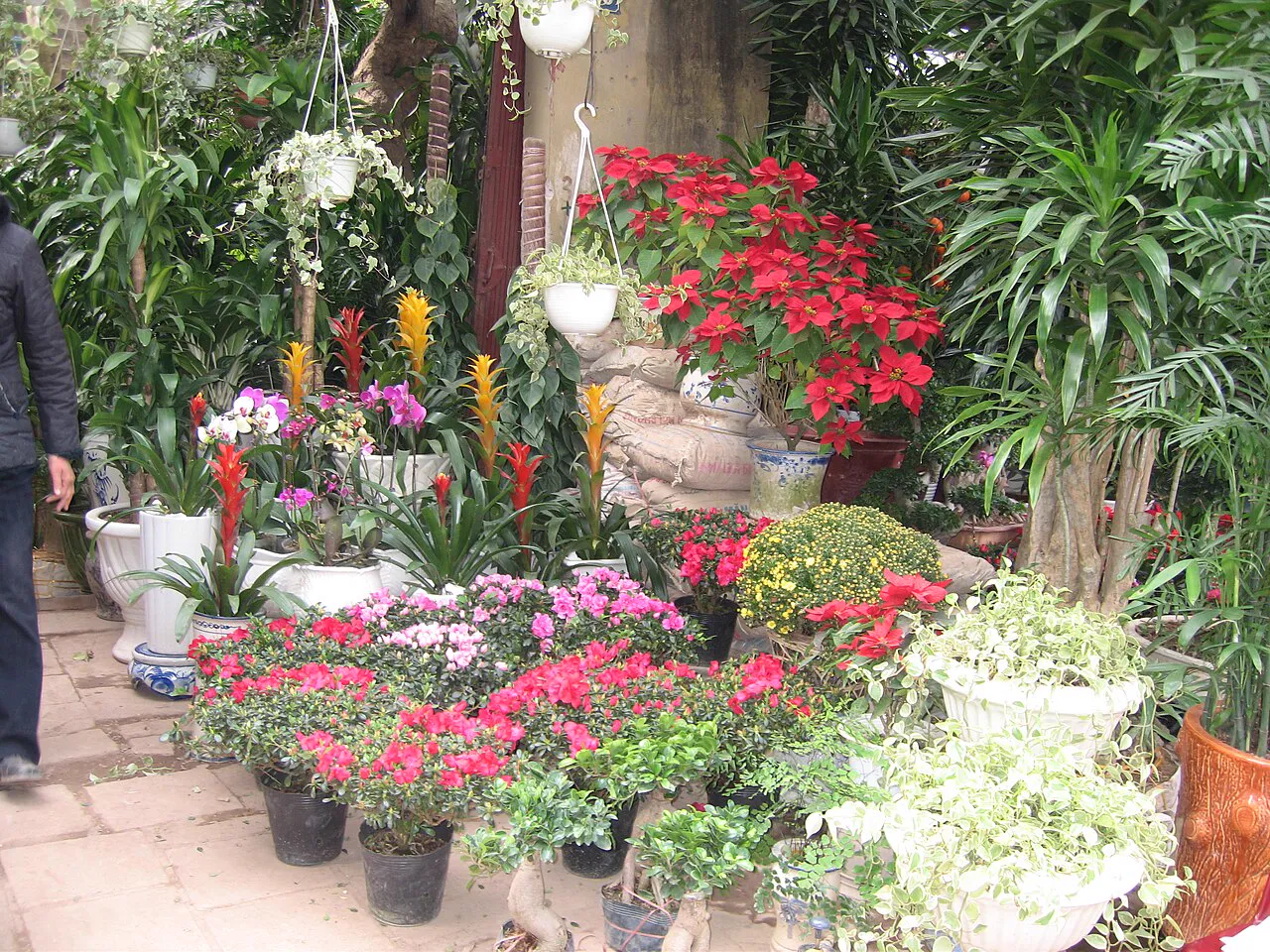 Chợ Tết — Đoàn Văn Cừ