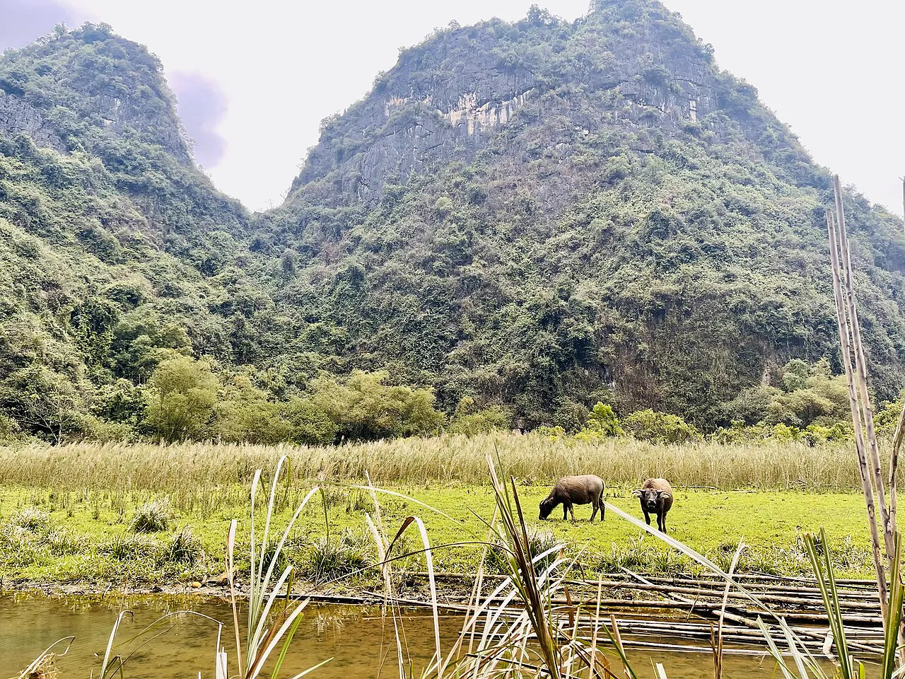 Khi Con Tu Hú — Tố Hữu